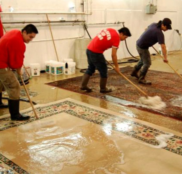 carpet cleaning service in Delhi